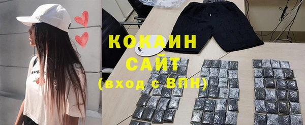 гидра Михайловка