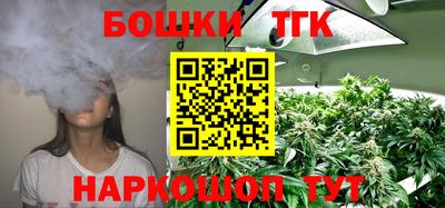 мдпв Обь