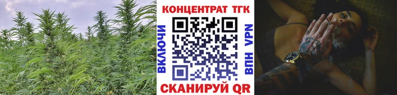 купить   Острогожск  ТГК гашишное масло 