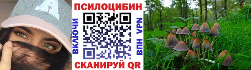 hydra как зайти дарк нет телеграм Псилоцибиновые грибы ЛСД Острогожск
