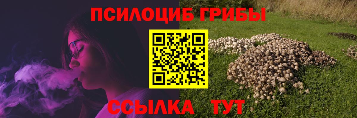 Острогожск  Псилоцибиновые грибы прущие грибы  Вход с VPN 