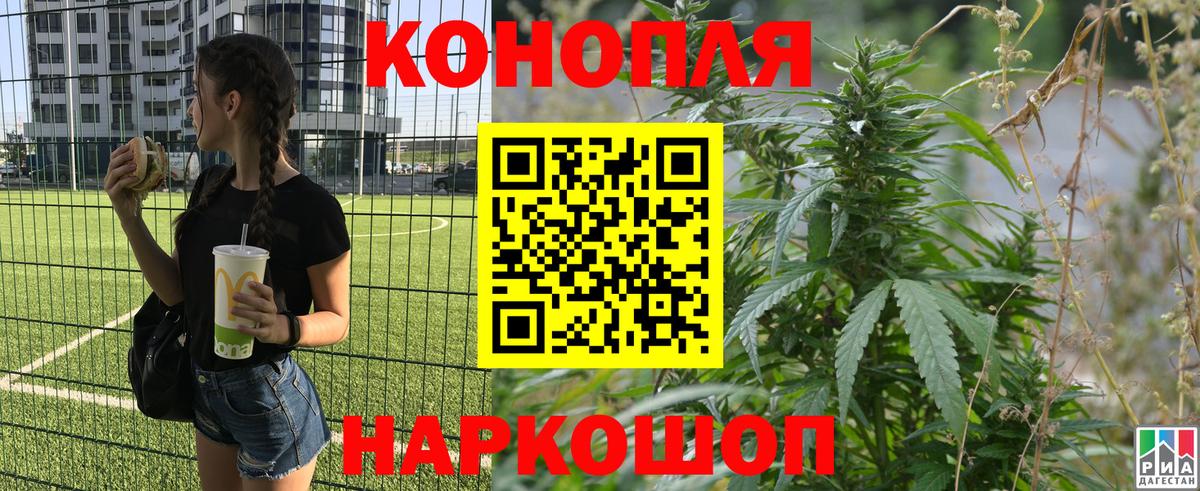 Конопля планчик  Марихуана Ganja  Канабис индика  Вход с VPN  Острогожск 